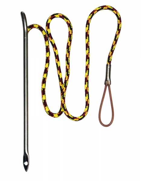  Scorpena    ,        .