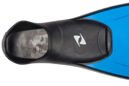  FLUYD Training Long    ,     .