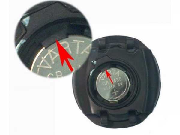     leonardo  giotto   ,        .