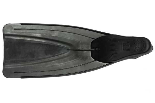  FLUYD Training Long    ,        .