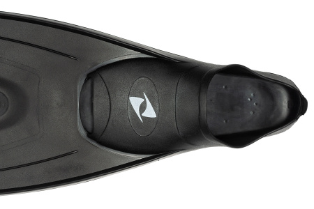  FLUYD Training Long    ,     .