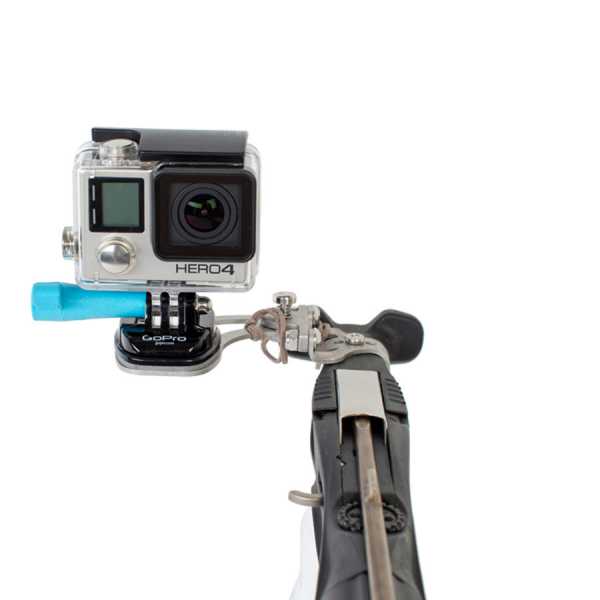     Scorpena D, X   ,     .