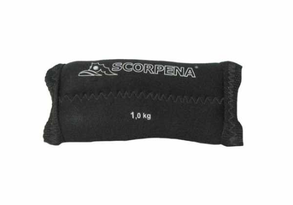    Scorpena 2 .  1    ,        .