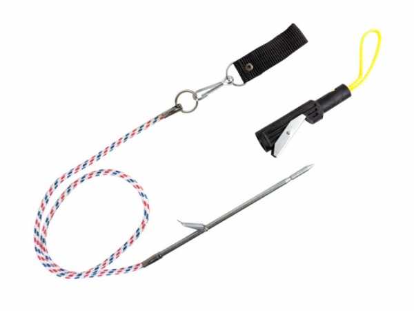  Scorpena  2.0   ,     .