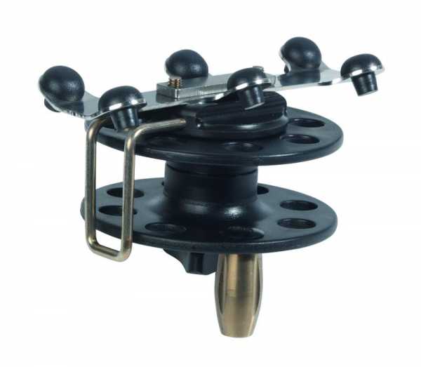             Salvimar   ,        .