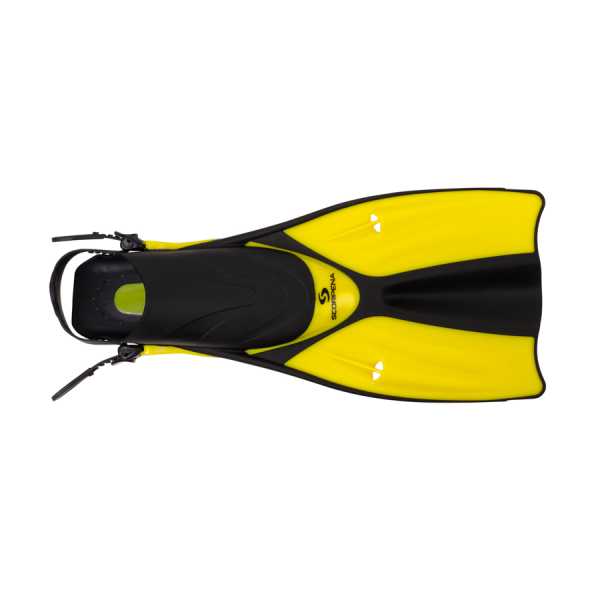  Scorpena Hawaii   ,     .