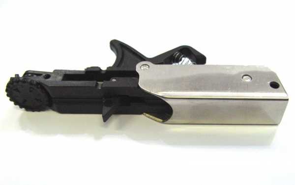 C     Scorpena   ,        .