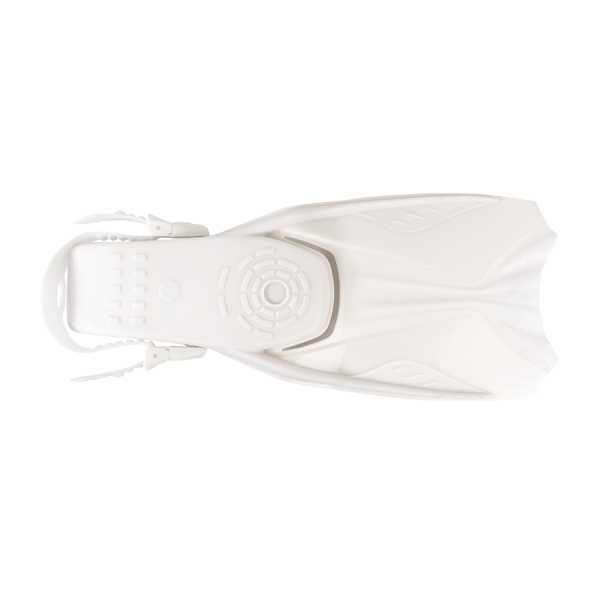  Scorpena Miami   ,     .