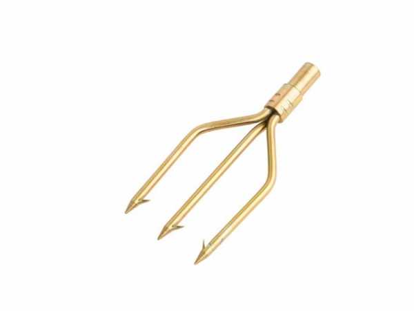 ���������� �������� �������� ������� ��� ��������� �����, ������ �� ������ ���� � �������� �������� �������.��