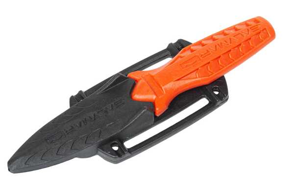  Predathor    ,        .