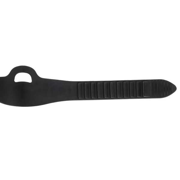    Scorpena Miami,    ,     .