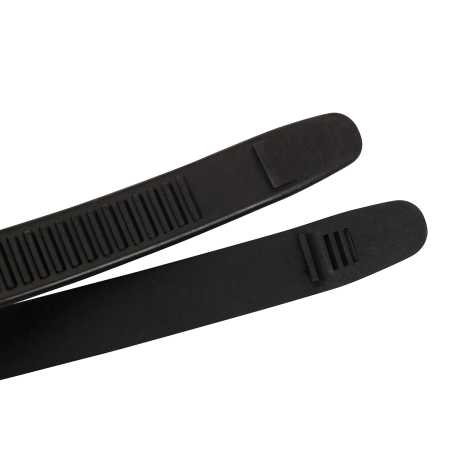    Scorpena Mallorca   ,     .