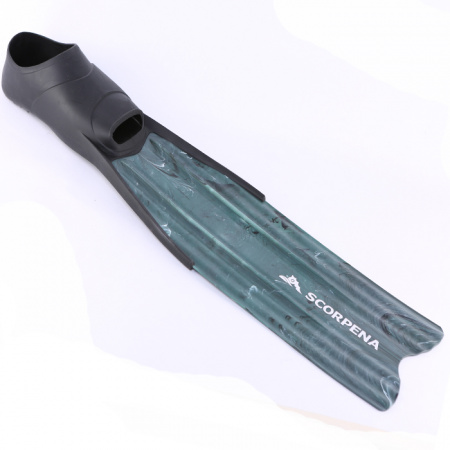  Scorpena A    ,     .