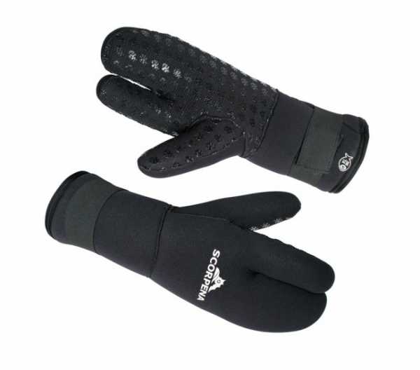   SCORPENA D - 8    ,        .