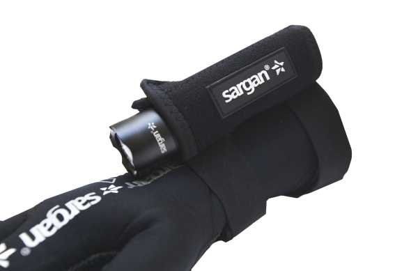    "  2.0"      SARGAN   ,     .