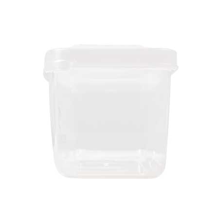  Scorpena   ,    ,     .