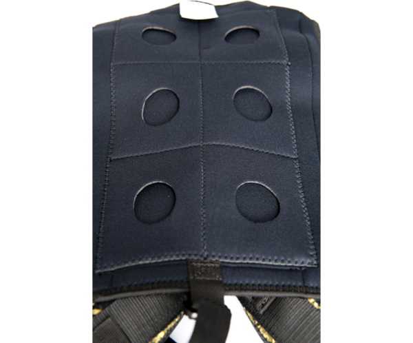   Sargan  RD2.0   ,     .