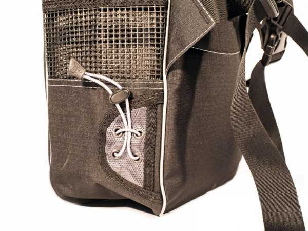   C C,        ,        .