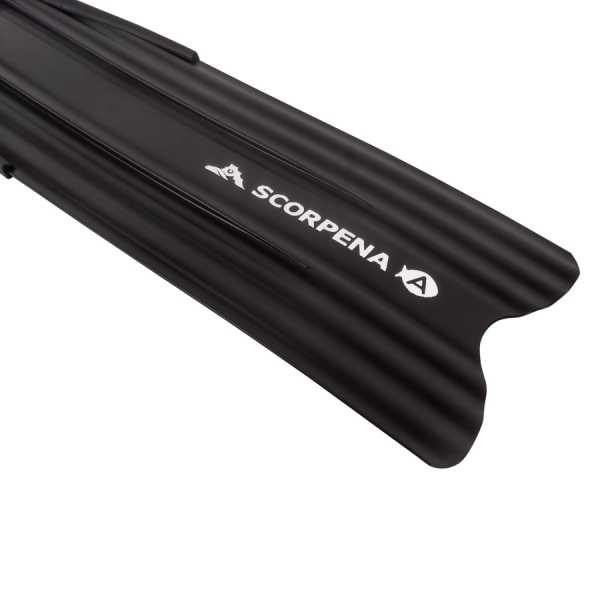  Scorpena A    ,     .