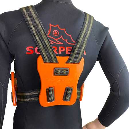 ������� �������� ��������� ���������� �� ���������� ������,  7 �� ��� ��������� �����, ������ � ��������� �������� �������.��