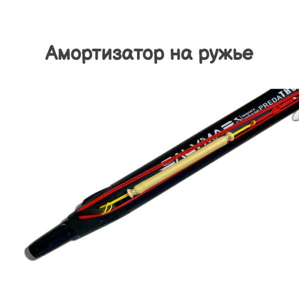          , --,  13 , . Narwhal   ,        .