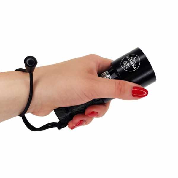  Scorpena B   ,     .