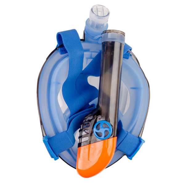     Scorpena Swim , . L   ,     .