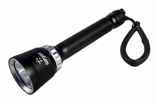  Sargan  1000    ,     .