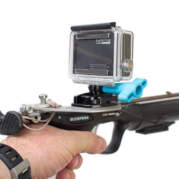     Scorpena D, X   ,     .