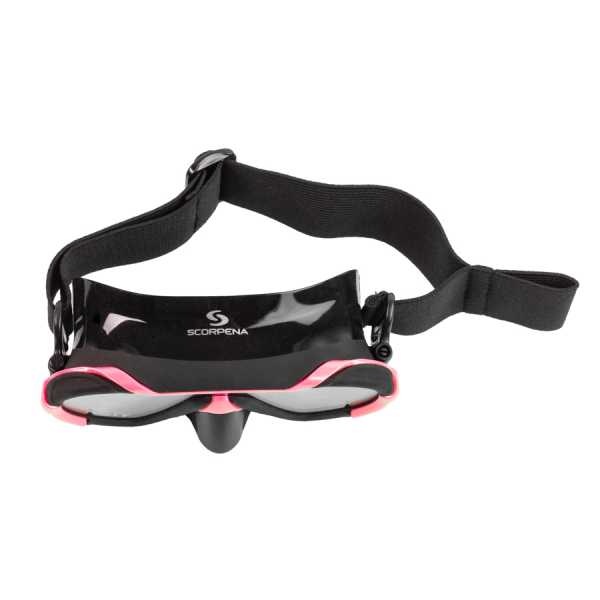  Scorpena Miami Junior, -.   ,     .