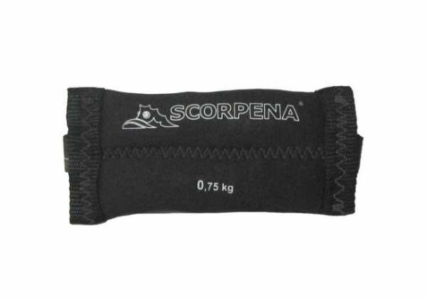    Scorpena 2 .  750    ,        .