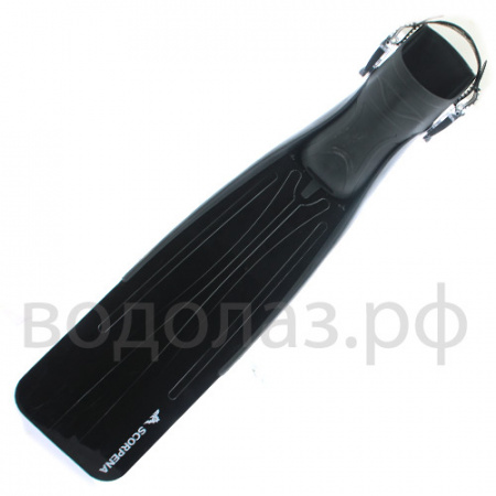   Scorpena C   ,     .