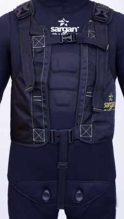  Sargan  ()   ,     .