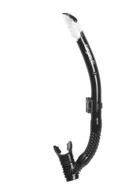   (+)   ,  SARGAN   ,     .