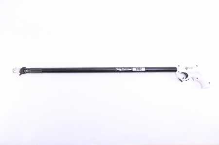     1000 ,  7,  ,  ,  .   ,     .