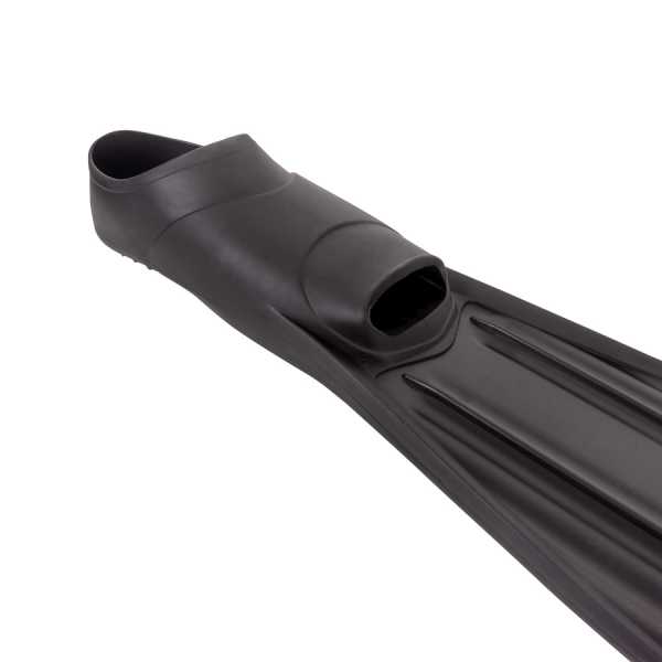  Scorpena A    ,     .