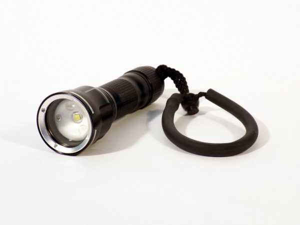   "" 600  (),  ,   SARGAN   ,     .