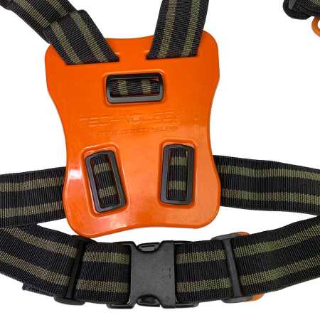 ������� �������� ��������� ���������� �� ���������� ������,  6 �� ��� ��������� �����, ������ � ��������� �������� �������.��