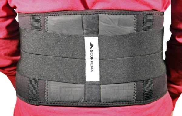   Scorpena   ,        .