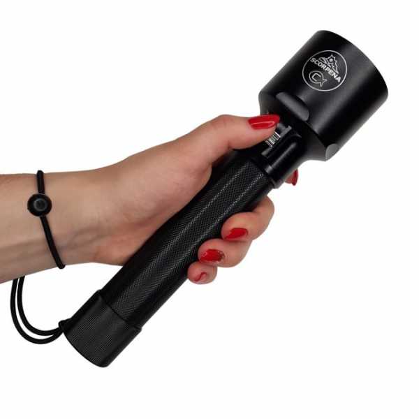  Scorpena C   ,     .