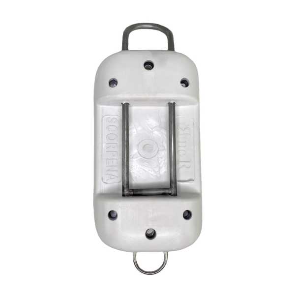 /  1.1 , ??  ,    ,     .