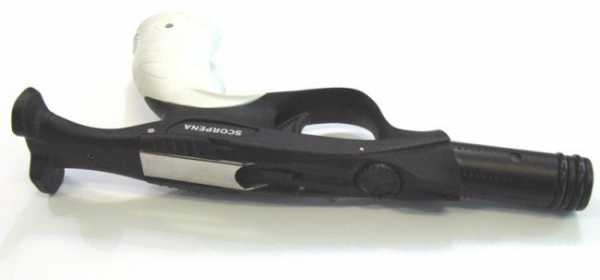      Scorpena D, X   ,        .