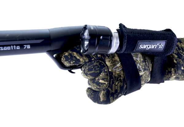    "  2.0"      SARGAN   ,     .