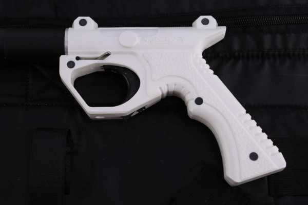     1200 ,  8,  () ,  ,  .   ,        .