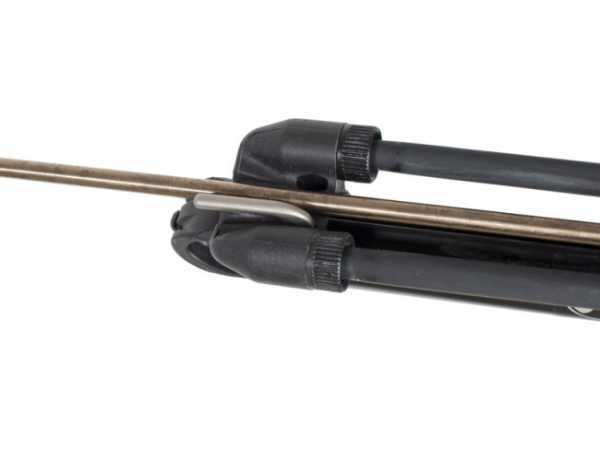      Scorpena   ,        .