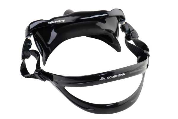  Scorpena E       ,        .