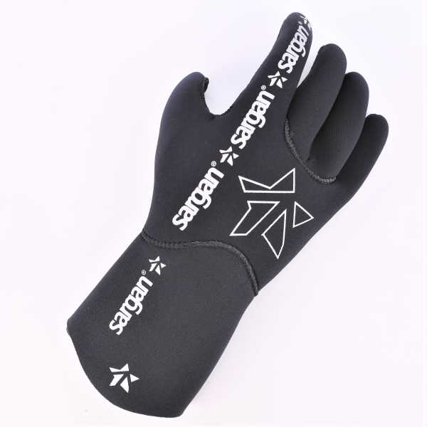  Sargan , 4,5     ,        .