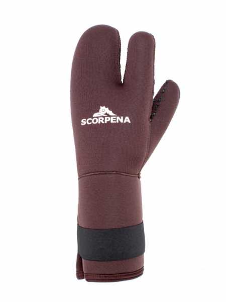   SCORPENA D 8 ,    ,        .